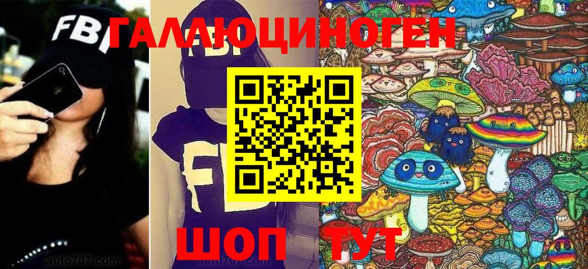 Псилоцибиновые грибы Psilocybe  Вход с VPN  Псилоцибиновые грибы Psilocybe  Глазов 